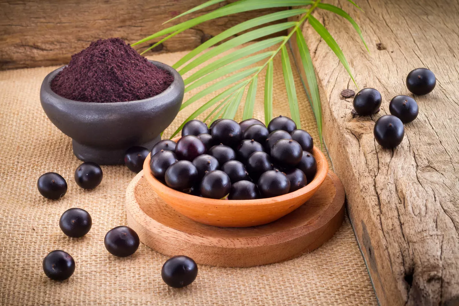 Franquicia Go Açaí